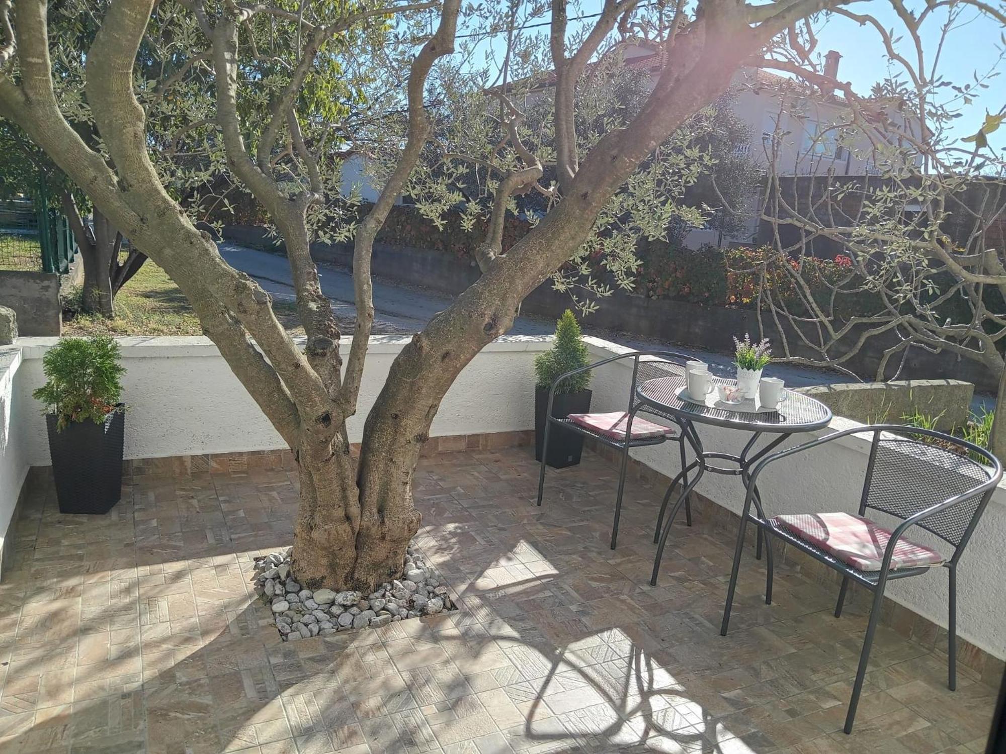 Apartmani Goga Seline Exterior photo